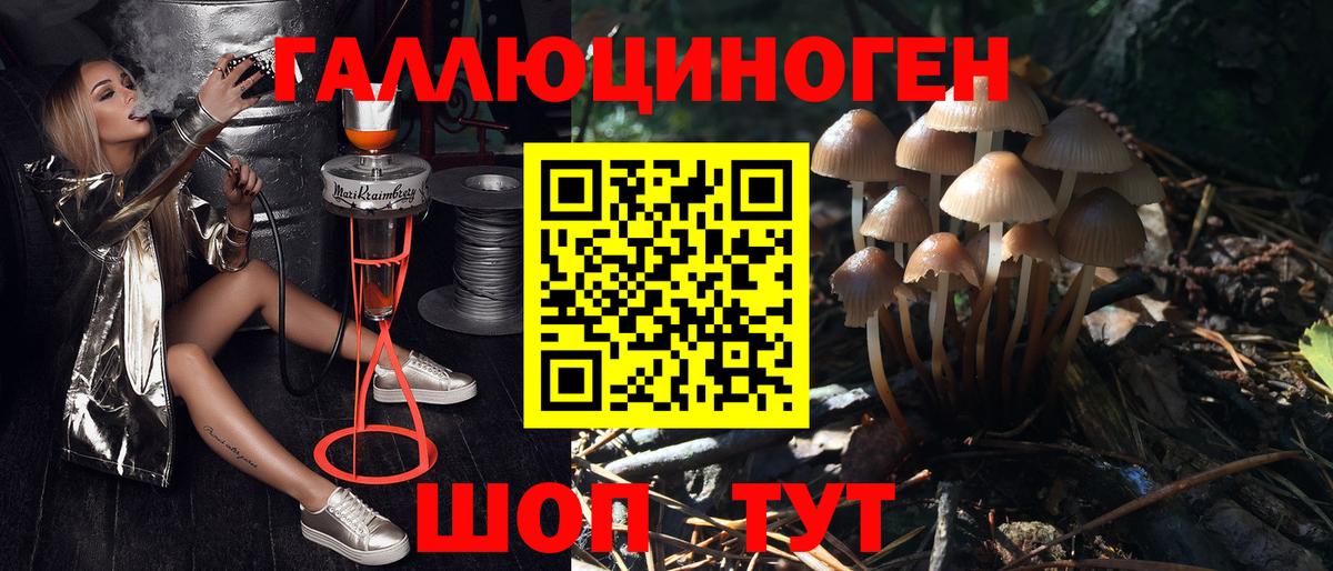 Псилоцибиновые грибы мицелий  Вход с VPN  Кулебаки 
