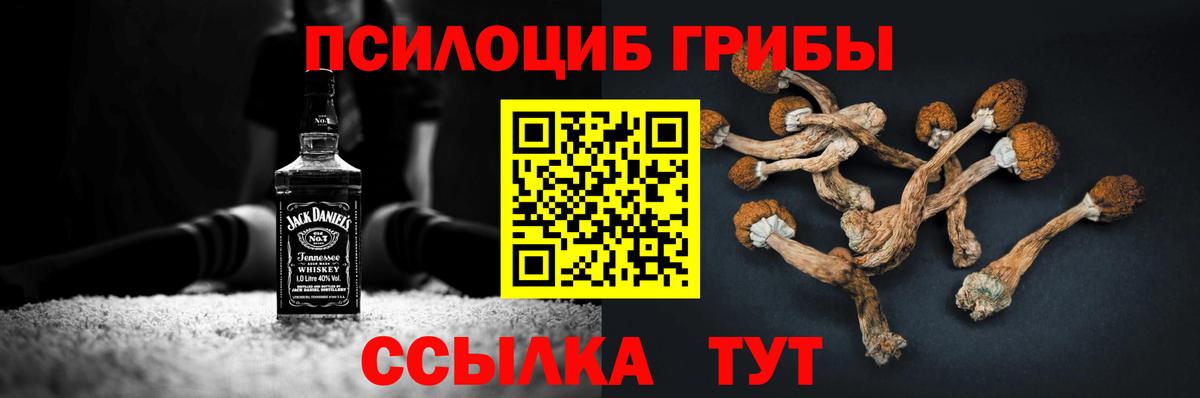 Псилоцибиновые грибы Cubensis Кулебаки